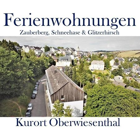 Ferienwohnungen Zauberberg, Schneehase & Glitzerhirsch Oberwiesenthal Bagian luar foto