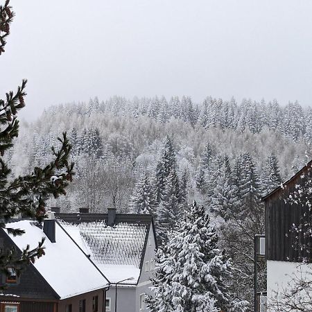 Ferienwohnungen Zauberberg, Schneehase & Glitzerhirsch Oberwiesenthal Bagian luar foto