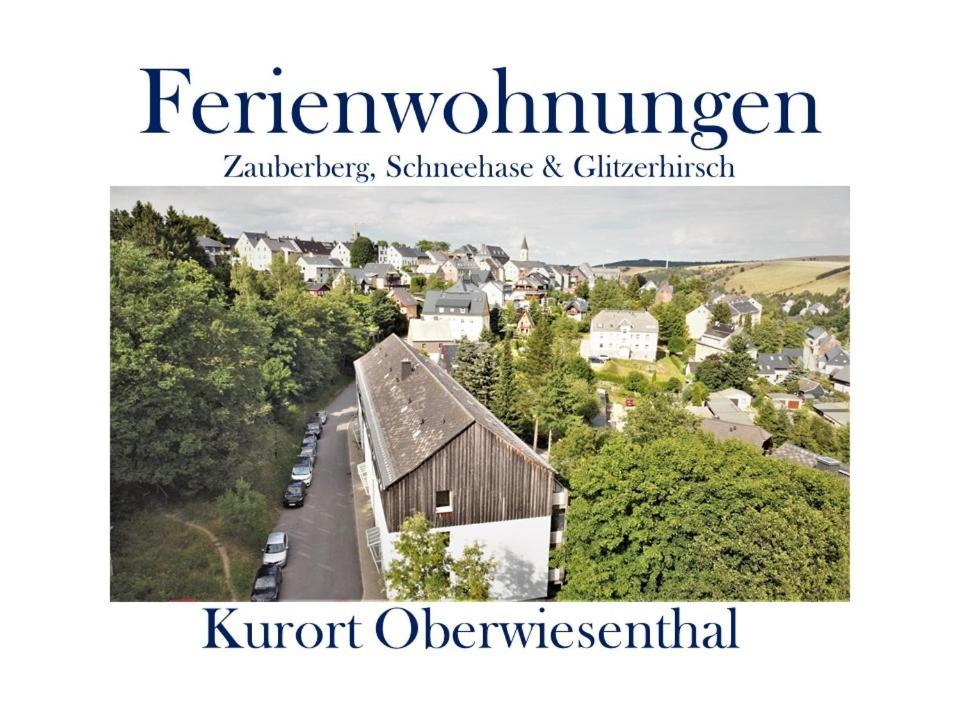 Ferienwohnungen Zauberberg, Schneehase & Glitzerhirsch Oberwiesenthal Bagian luar foto